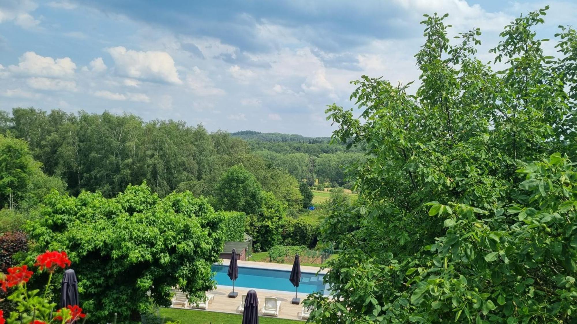 Hallerbos B&B In Bluebell Forest Halle  Ngoại thất bức ảnh